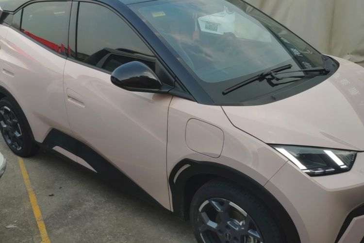 Used BYD Seagull 2024 Honor Edition 305km Freedom Version Right Side Sill