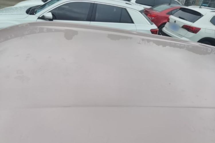 Used BYD Seagull 2024 Honor Edition 305km Freedom Version Roof