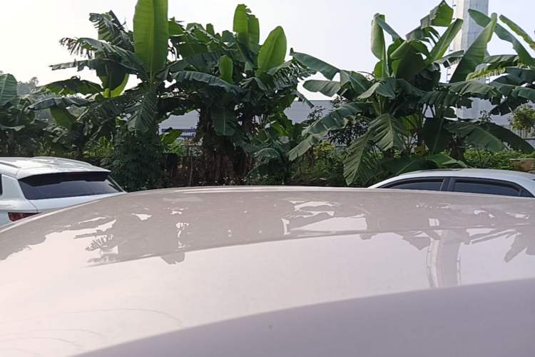 Used BYD Seagull 2024 Honor Edition 305km Dynamic Version Roof