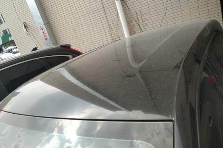 Used BYD Seagull 2024 Honor Edition 305km Dynamic Version Roof