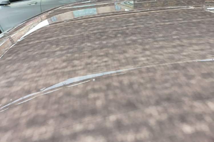 Used BYD Seagull 2024 Honor Edition 405km Flying Version Roof