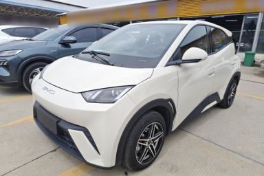 Used BYD Seagull 2024 Honor Edition 305km Dynamic Version