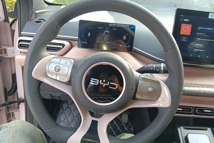 Used BYD Seagull 2024 Honor Edition 305km Dynamic Version Steering Wheel