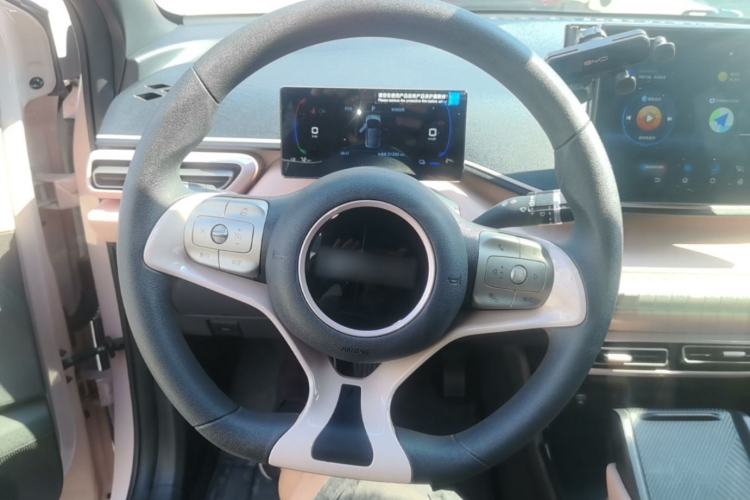 Used BYD Seagull 2024 Honor Edition 305km Dynamic Version Steering Wheel