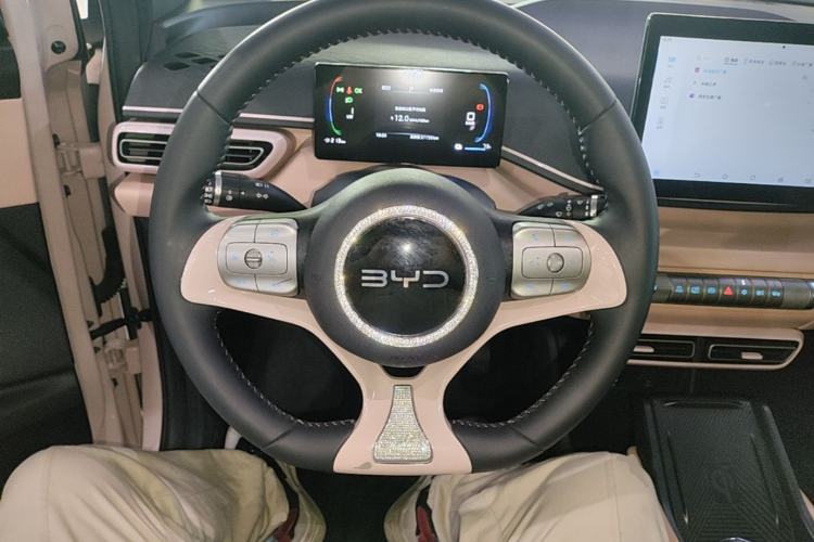 Used BYD Seagull 2024 Honor Edition 305km Freedom Version Steering Wheel