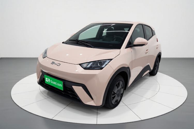 BYD Seagull 2024 Honor Edition 305km Dynamic Version