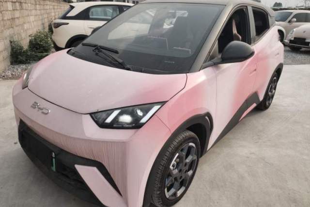 Used BYD Seagull 2024 Honor Edition 305km Freedom Version
