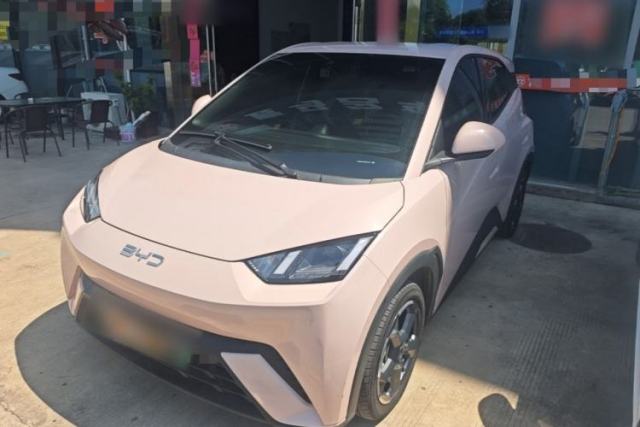 Used BYD Seagull 2024 Honor Edition 305km Freedom Version