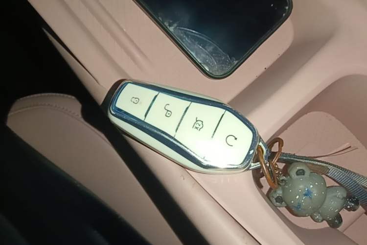 Used BYD Seagull 2024 Honor Edition 305km Dynamic Version Vehicle Key