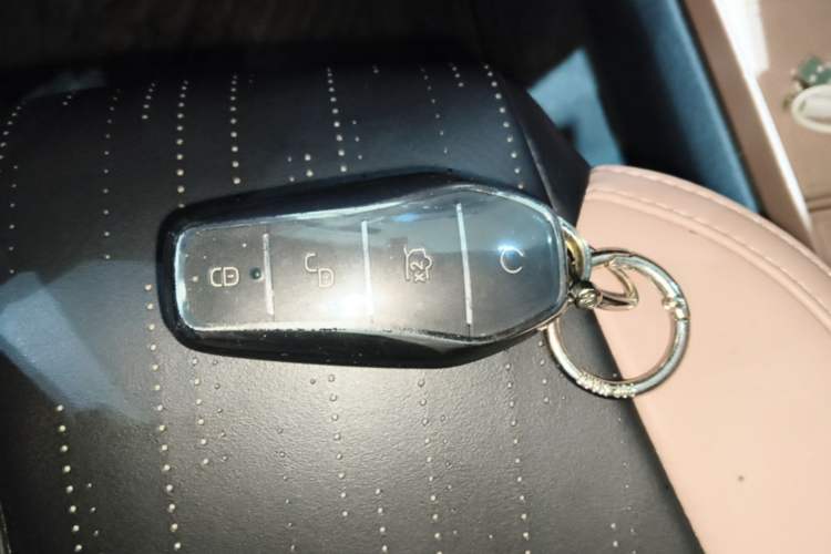 Used BYD Seagull 2024 Honor Edition 305km Freedom Version Vehicle Key