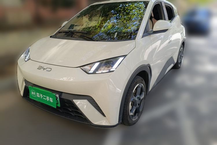 BYD Seagull 2024 Honor Edition 305km Freedom Version