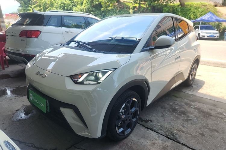 Used BYD Seagull 2024 Honor Edition 305km Freedom Version Guazi used car, China used car export, Used car for sale, Used cars, Cheapest cars for sale