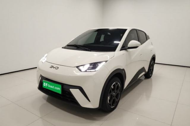Used BYD Seagull 2024 Honor Edition 305km Dynamic Version