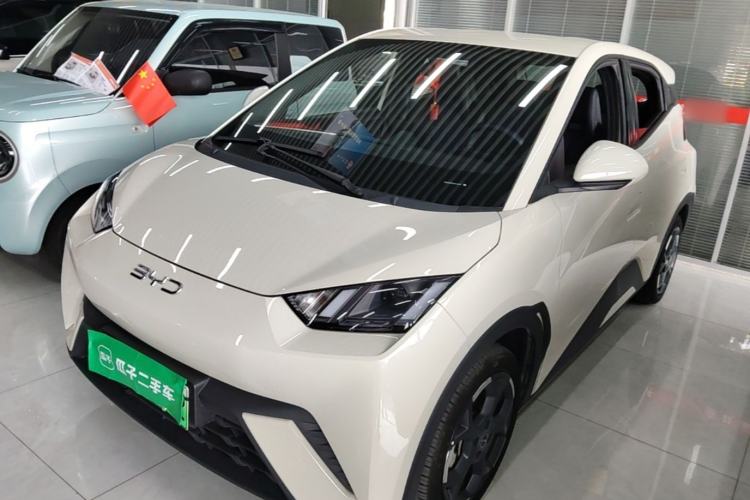BYD Seagull 2024 Honor Edition 305km Freedom Version