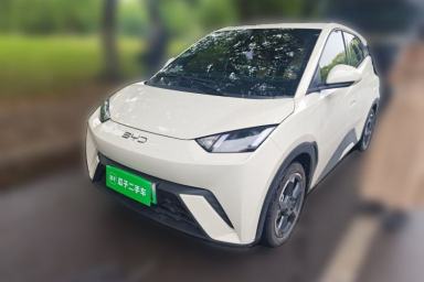 Used BYD Seagull 2024 Honor Edition 305km Freedom Version