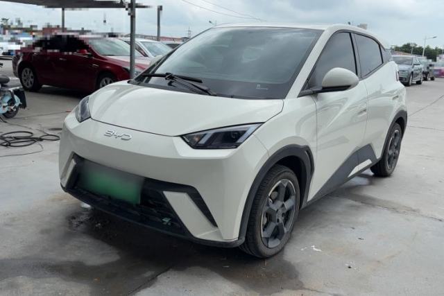 Used BYD Seagull 2024 Honor Edition 305km Freedom Version