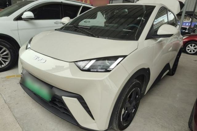 Used BYD Seagull 2024 Honor Edition 305km Freedom Version