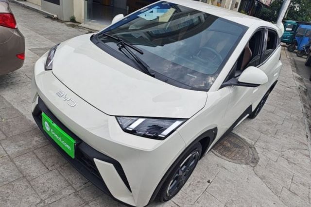 Used BYD Seagull 2024 Honor Edition 305km Freedom Version