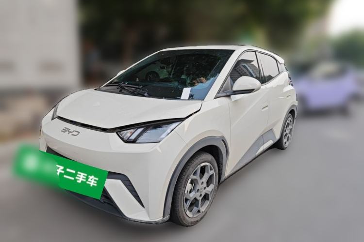 BYD Seagull 2024 Honor Edition 405km Flying Version
