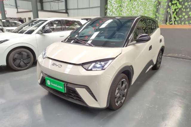 Used BYD Seagull 2024 Honor Edition 305km Freedom Version