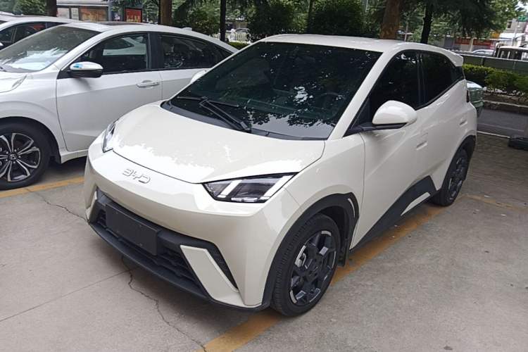 BYD Seagull 2024 Honor Edition 305km Freedom Version