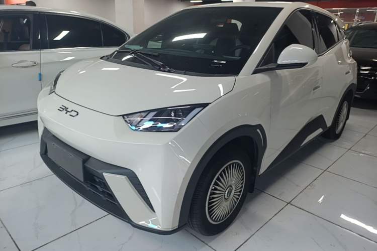 BYD Seagull 2024 Honor Edition 305km Dynamic Version