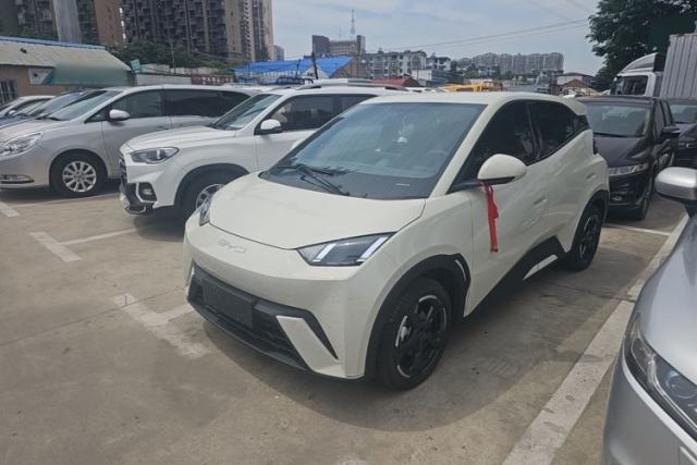 Used BYD Seagull 2024 Honor Edition 305km Freedom Version