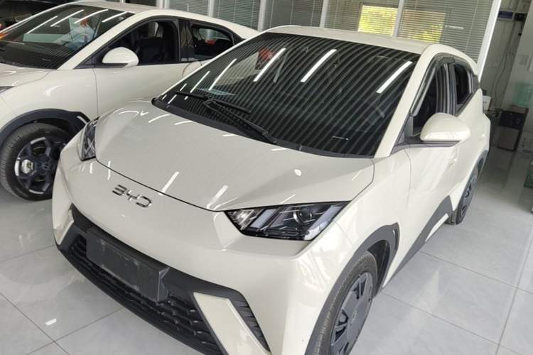 BYD Seagull 2024 Honor Edition 305km Dynamic Version