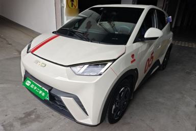 Used BYD Seagull 2024 Honor Edition 305km Freedom Version