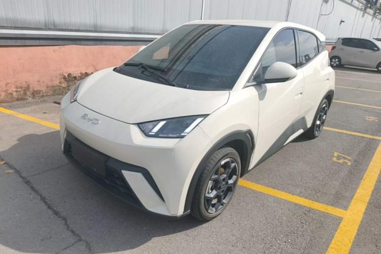 BYD Seagull 2024 Honor Edition 305km Freedom Version