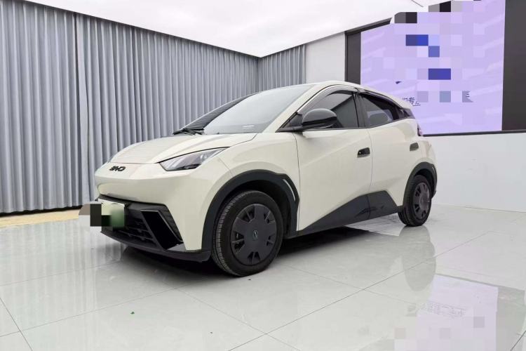BYD Seagull 2024 Honor Edition 305km Dynamic Version