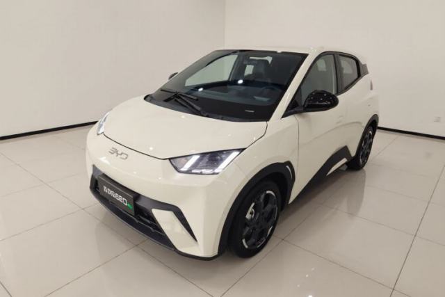 Used BYD Seagull 2024 Honor Edition 305km Freedom Version