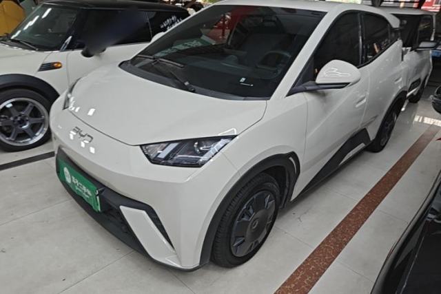 Used BYD Seagull 2024 Honor Edition 305km Dynamic Version