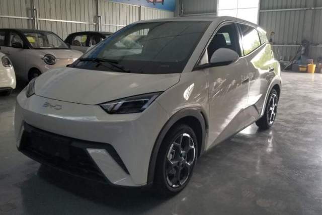 Używany BYD Seagull 2024 Honor Edition 305km Freedom Version