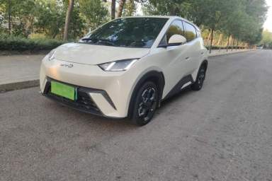 Used BYD Seagull 2024 Honor Edition 305km Freedom Version