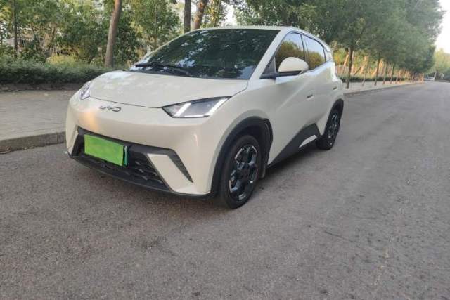 Used BYD Seagull 2024 Honor Edition 305km Freedom Version