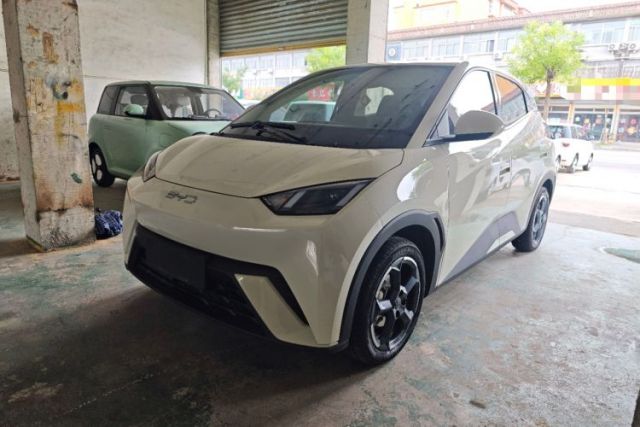 Used BYD Seagull 2024 Honor Edition 305km Freedom Version
