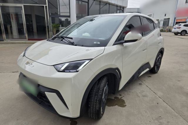 Used BYD Seagull 2024 Honor Edition 305km Freedom Version