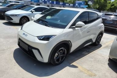 Used BYD Seagull 2024 Honor Edition 405km Flying Version
