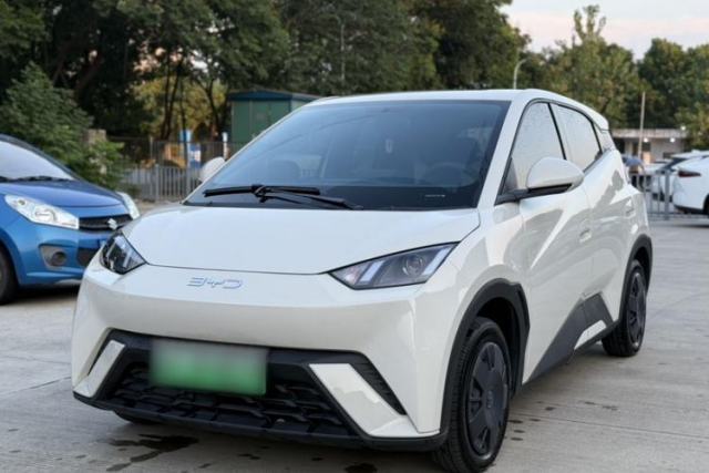 Used BYD Seagull 2024 Honor Edition 305km Dynamic Version