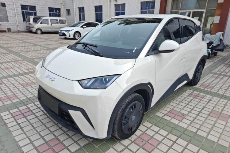 BYD Seagull 2024 Honor Edition 305km Dynamic Version
