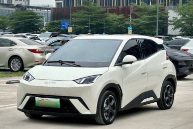 Used BYD Seagull 2024 Honor Edition 305km Freedom Version
