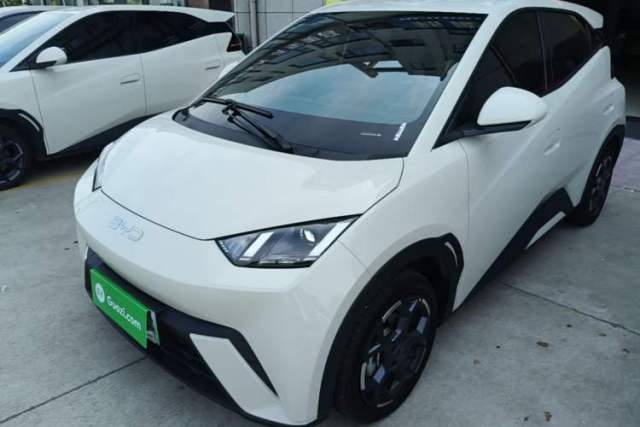 Used BYD Seagull 2024 Honor Edition 305km Freedom Version