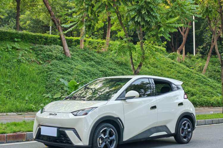 BYD Seagull 2024 Honor Edition 405km Flying Version