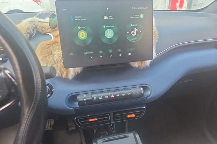 Used BYD Seagull 2024 Honor Edition 305km Freedom Version Audio And AC Panel