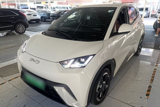 Used BYD Seagull 2024 Honor Edition 305km Freedom Version