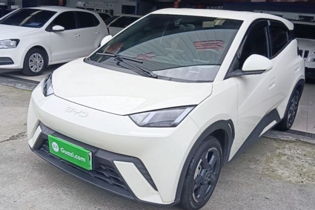 Used BYD Seagull 2024 Honor Edition 305km Freedom Version