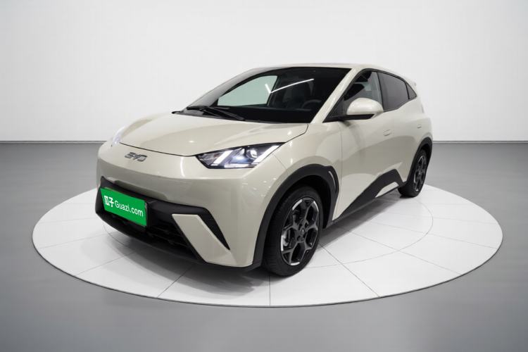 BYD Seagull 2024 Honor Edition 305km Freedom Version
