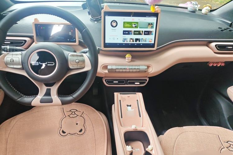 Used BYD Seagull 2024 Honor Edition 305km Freedom Version Center Console
