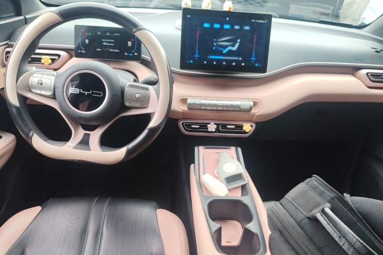 Used BYD Seagull 2024 Honor Edition 305km Dynamic Version Center Console